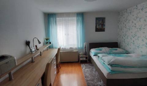 Sale Single studio, Single studio, Guothova, Bratislava - Nové Mesto, 