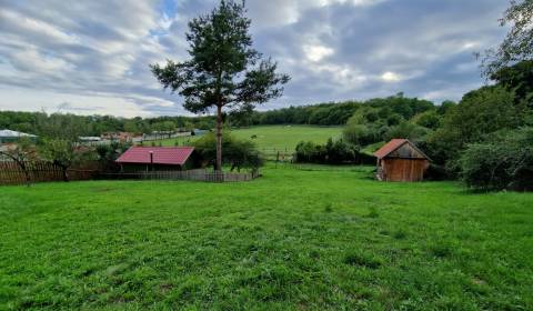 Sale Land – for living, Land – for living, Zlaté Moravce, Slovakia