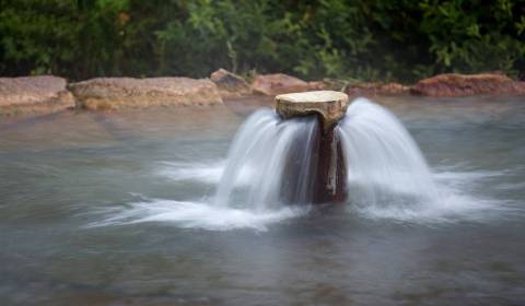 Sale Land plots - commercial, Land plots - commercial, Senec, Slovakia