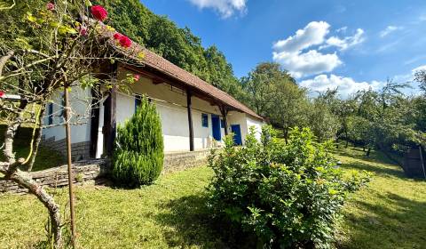 Sale Family house, Family house, Myjava, Slovakia