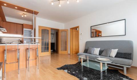 Spacious 1-bdr apt with balcony & parking, Petržalka