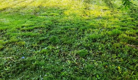 Sale Land – for living, Land – for living, Michalovce, Slovakia