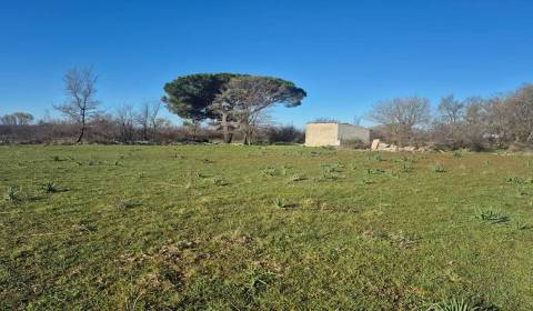Sale Land – for living, Land – for living, Zadar, Croatia