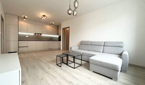 Rent One bedroom apartment, One bedroom apartment, Na pažiti, Trenčín,