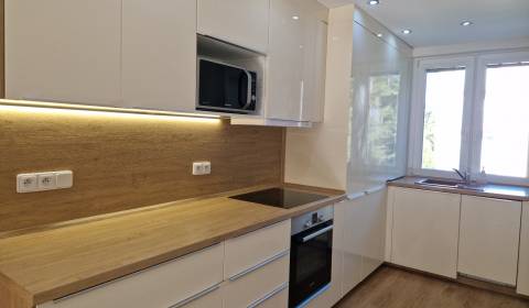 Rent One bedroom apartment, One bedroom apartment, Palárikova, Senica,