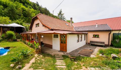 Sale Family house, Family house, Ľudmily Podjavorinskej, Nové Mesto na