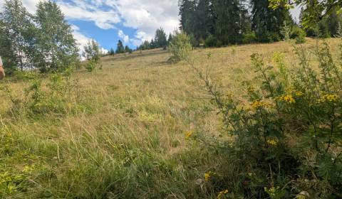 Sale Land – for living, Land – for living, Bexeľ, Brezno, Slovakia