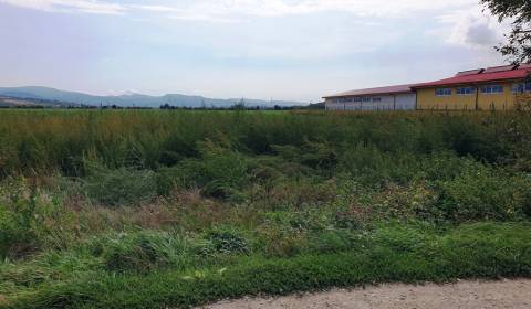 Sale Agrarian and forest land, Agrarian and forest land, Nové Mesto na