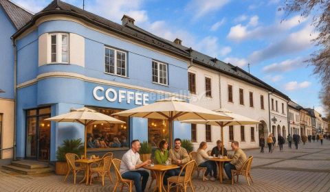 Rent Commercial premises, Commercial premises, Námestie Slobody, Priev