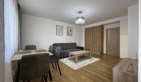 Rent One bedroom apartment, One bedroom apartment, Dobrianskeho, Humen