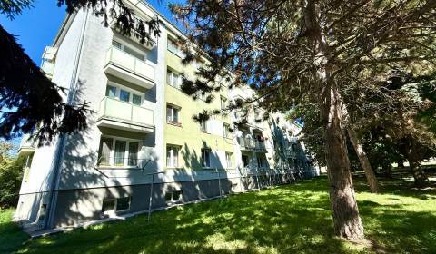 Sale One bedroom apartment, One bedroom apartment, Kalinčiakova, Senic