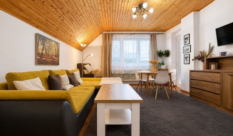 Charming 3-Room Apartment with Scenic Views in Nová Lesná