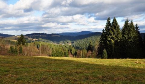 Sale Agrarian and forest land, Agrarian and forest land, Čadca, Slovak