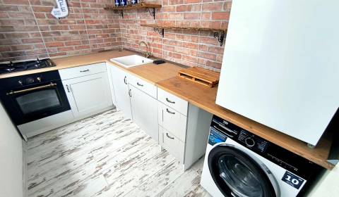 Rent One bedroom apartment, One bedroom apartment, Februárová, Partizá