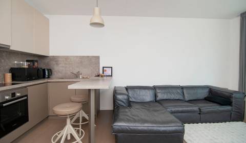 Rent One bedroom apartment, One bedroom apartment, Radlinského, Bratis