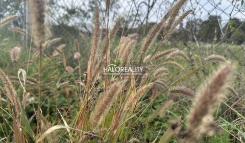 Sale Land – for living, Zlaté Moravce, Slovakia