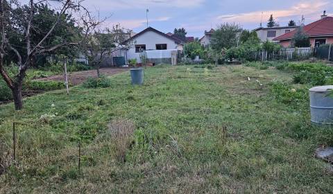 Sale Gardens, Gardens, Sereďská, Trnava, Slovakia