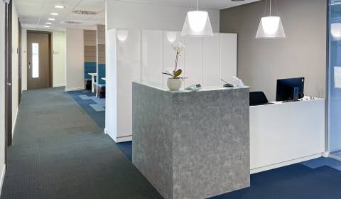 Rent Offices, Offices, Prievozská 4D, Bratislava - Ružinov, Slovakia