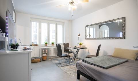 1-Bedroom Apt near the Castle with Garage