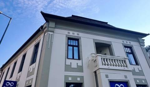 Rent Commercial premises, Commercial premises, Braneckého, Trenčín, Sl