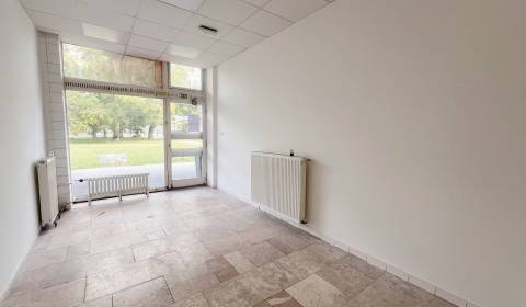 Rent Commercial premises, Commercial premises, Herlianska, Bratislava 
