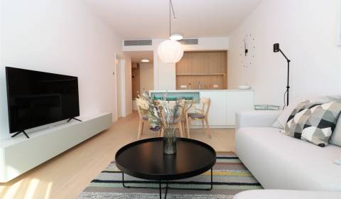 FOR RENT - 1 bedroom apartment with castle view in Skypark,tower1