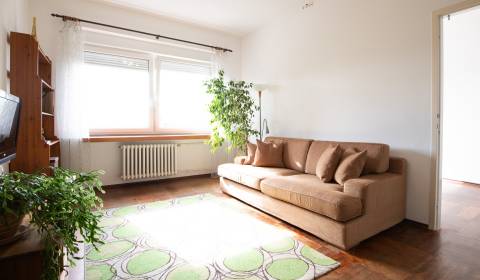 EXCLUSIVE Spacious 1,5-room apt for rent with view