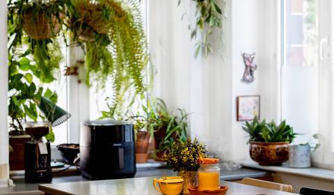 Sale One bedroom apartment, One bedroom apartment, Kalinčiakova, Brati