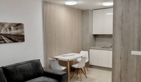 Rent One bedroom apartment, One bedroom apartment, Ivanská cesta, Brat
