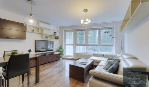 Rent Two bedroom apartment, Two bedroom apartment, Drieňová, Bratislav