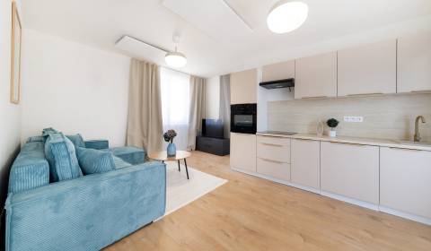 Rent One bedroom apartment, One bedroom apartment, Beniakova, Nitra, S