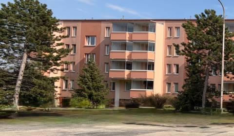 Rent Studio, Studio, Štefánikova, Senica, Slovakia