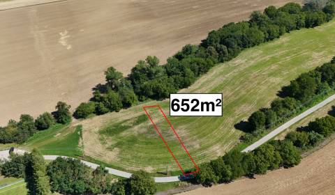 Sale Agrarian and forest land, Agrarian and forest land, Nové Mesto na