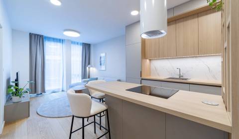 Rent One bedroom apartment, One bedroom apartment, Mierová, Bratislava