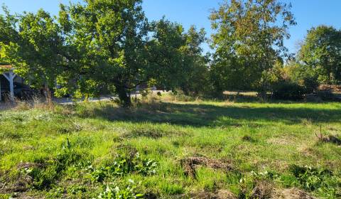 Sale Family house, Family house, Bruck an der Leitha, Austria