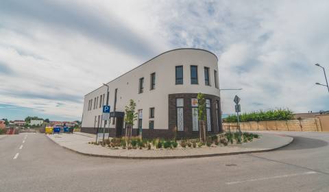 Rent Commercial premises, Commercial premises, Vladimíra Predmerského,