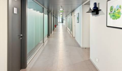 Rent Offices, Offices, Zriedlova 13, Košice - Staré Mesto, Slovakia