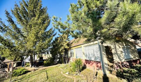 Sale Family house, Family house, Branovo 90, Nové Zámky, Slovakia