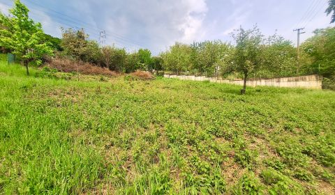 Sale Land – for living, Land – for living, Pod Wilec hôrkou, Prešov, S