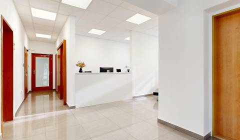 Practical office space for rent in Ružinov