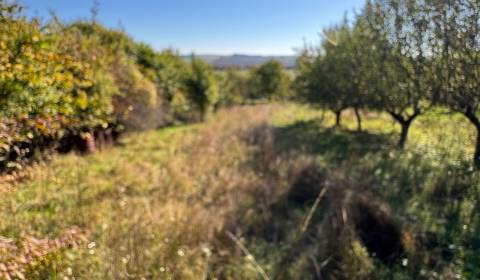 Sale Cottage, Cottage, Levice, Slovakia