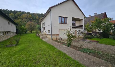 Sale Family house, Family house, Hrachovište, Nové Mesto nad Váhom, Sl