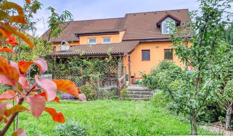 Sale Family house, Family house, Špačince, Trnava, Slovakia