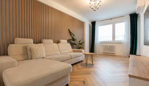 3-Room Flat near Dulovo Square after Full Renovation