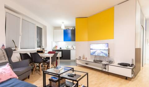 Bright 2-Room Flat with Garage in Quiet Kramáre