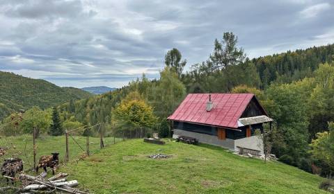 Sale Family house, Family house, Rimavská Sobota, Slovakia