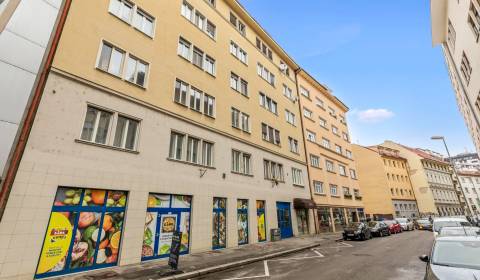 Sale Four+ bedroom apartment, Four+ bedroom apartment, Grösslingova, B