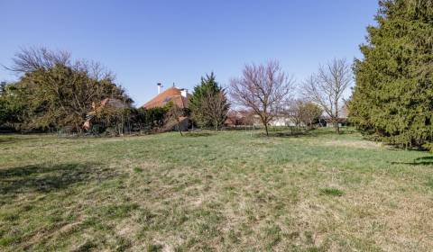 Sale Land – for living, Land – for living, Dunajská Streda, Slovakia