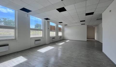 Rent Commercial premises, Commercial premises, Hattalova, Bratislava -