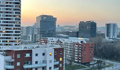 Rent One bedroom apartment, One bedroom apartment, Bosákova, Bratislav